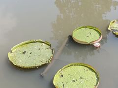 -无锡梅园公园