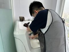 -爱洗澡的猫(望京店)