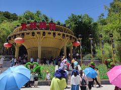 -栾川竹海野生动物园