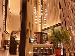 -东方美谷JW万豪酒店·The lounge大堂吧
