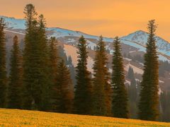 -富隆酒窖(天河北店)