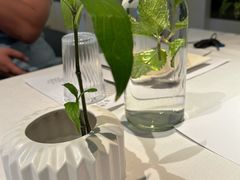 -春树下·树屋花房西餐厅(罍街AS1980店)