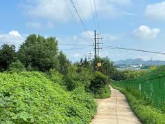 -荆轲塔