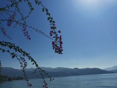 -大理洱海