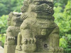 -同里国家湿地公园