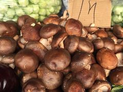 -何庄子阿米玛玛农产品批发市场