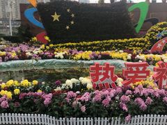 -西北湖绿化广场