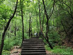 -驼梁风景区