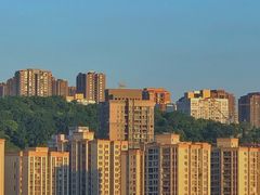 -南山植物园