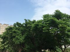 -龙环葡韵住宅式博物馆