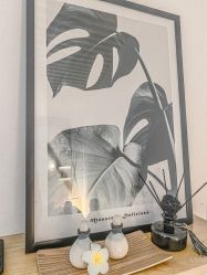 -ANNIL安奈尔·NASX超透白·科技抗衰·问题性肌肤管理