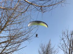 -白鹭湾湿地公园