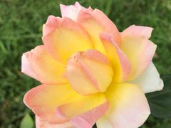 -苏州太湖国际会议中心