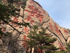 -崂山仰口游览区
