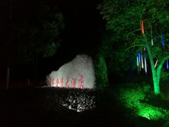 -南京国睿金陵大酒店