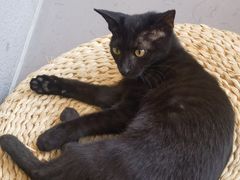 -转山咖啡(松柏社区店)