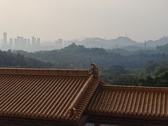-深圳仙湖植物园