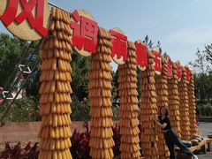 -北戴河集发农业梦想王国