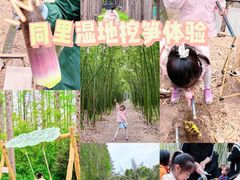 -同里国家湿地公园
