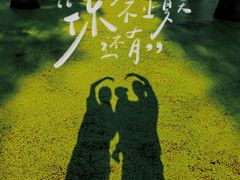 -渌洋湖湿地公园