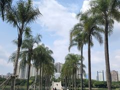 -南宁南湖公园