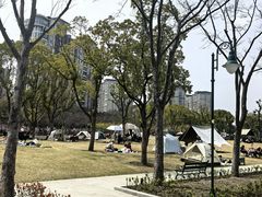 -新江湾城公园