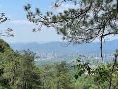 -大奇山国家森林公园
