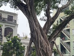 -荔湾湖公园