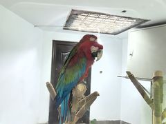 -青藏高原野生动物园