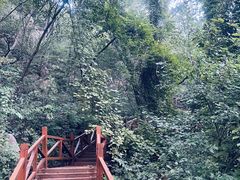 -大岭沟猕猴桃谷风景区