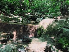 -白草畔自然风景区