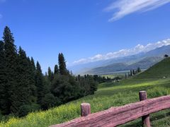 -新疆那拉提国家旅游度假区