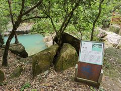 -广州白江湖森林公园