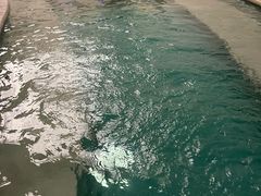 -钓鱼岛洗浴休闲会馆(卫星路店)