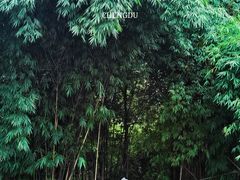 -桤木河湿地公园