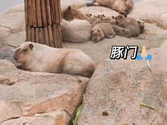 -北京野生动物园