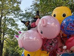 -溪岸路花鸟市场