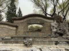 -团结湖公园