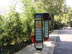 -野蔓果·山野菜(西湖景区·龙井茶田店)