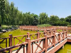 -丰台科技园生态主题公园
