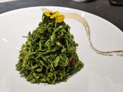 -安多素食(广仁寺路店)