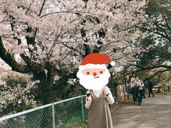 -醍醐寺