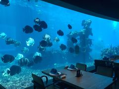 -海棠湾洲际-涛·海底餐厅·美人鱼·自助餐·海底隧道