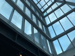 -威尔仕健身(丁香国际店)