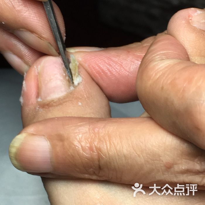 扬州扦脚的全部评价-上海-大众点评网