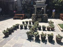 -寂照庵