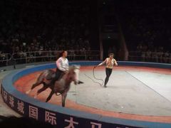 iphone_upload_pic-武汉杂技厅