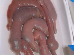 -双合园·海鲜水饺青岛菜(万佳广场店)