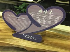 -河源万绿湖美思威尔顿酒店