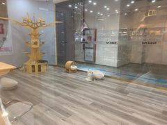 -BABIT巴比特宠物(MOMOPARK店)